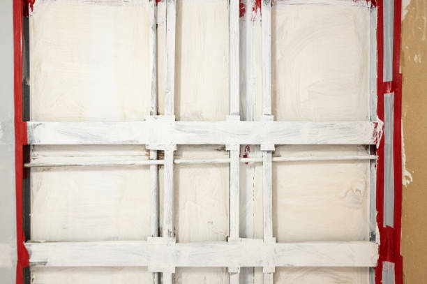 Mold Remediation for Rental Properties in East Ithaca, NY
